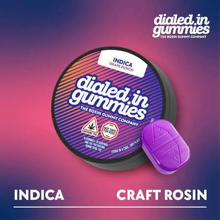 DIALED IN } CLASSIC GRAPE PUNCH (I) ROSIN GUMMIE | 5mg 20pk