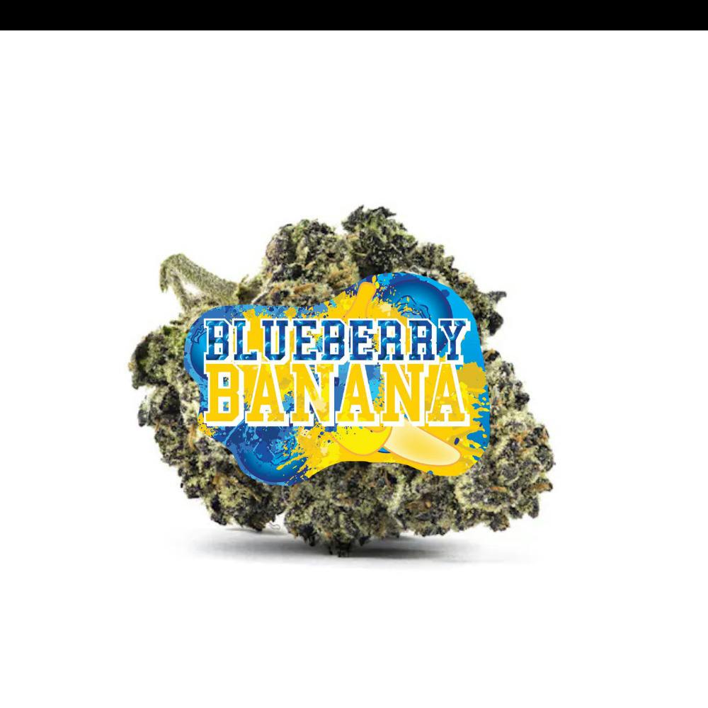 Blueberry Banana - Micro Popcorn