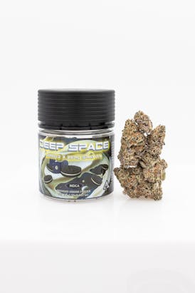 Canna America - Deep Space - 3.5G