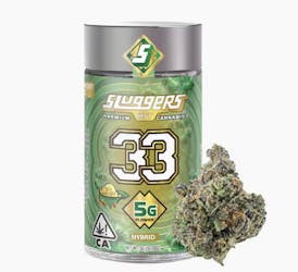 Sluggers Hit - 33 - 5G