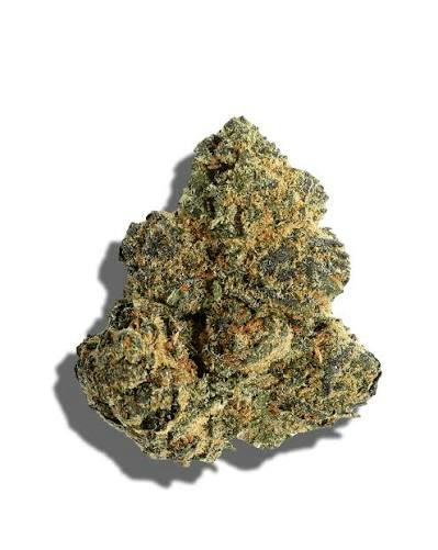 Canna America -: Tahoe OG