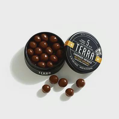Terra Bites Chocolate Covered Sea Salt Caramel x 20