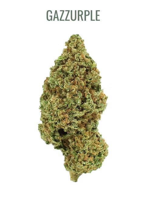 Burr's Place | Gazzurple (I) | 3.5g Sungrown Flower