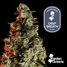 Deep Breath