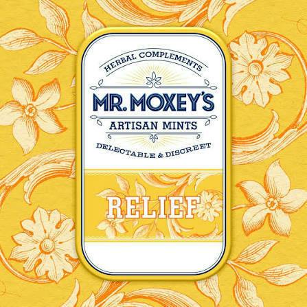 Relief Lemon Ginger Mint | 20pk