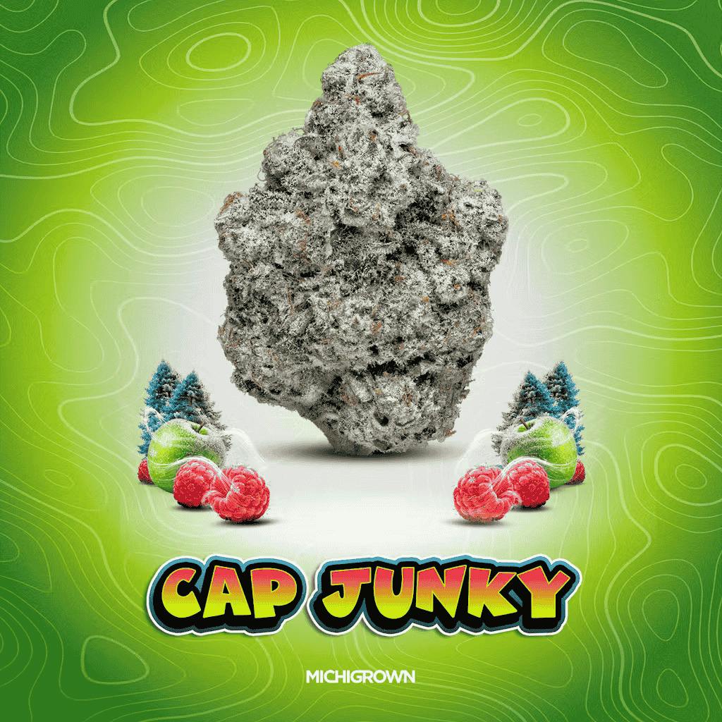 Michigrown Cap Junky