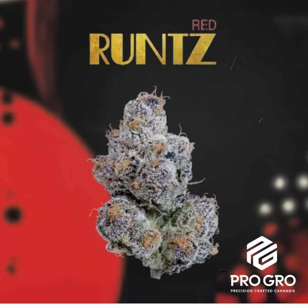 Pro Gro Red Runtz