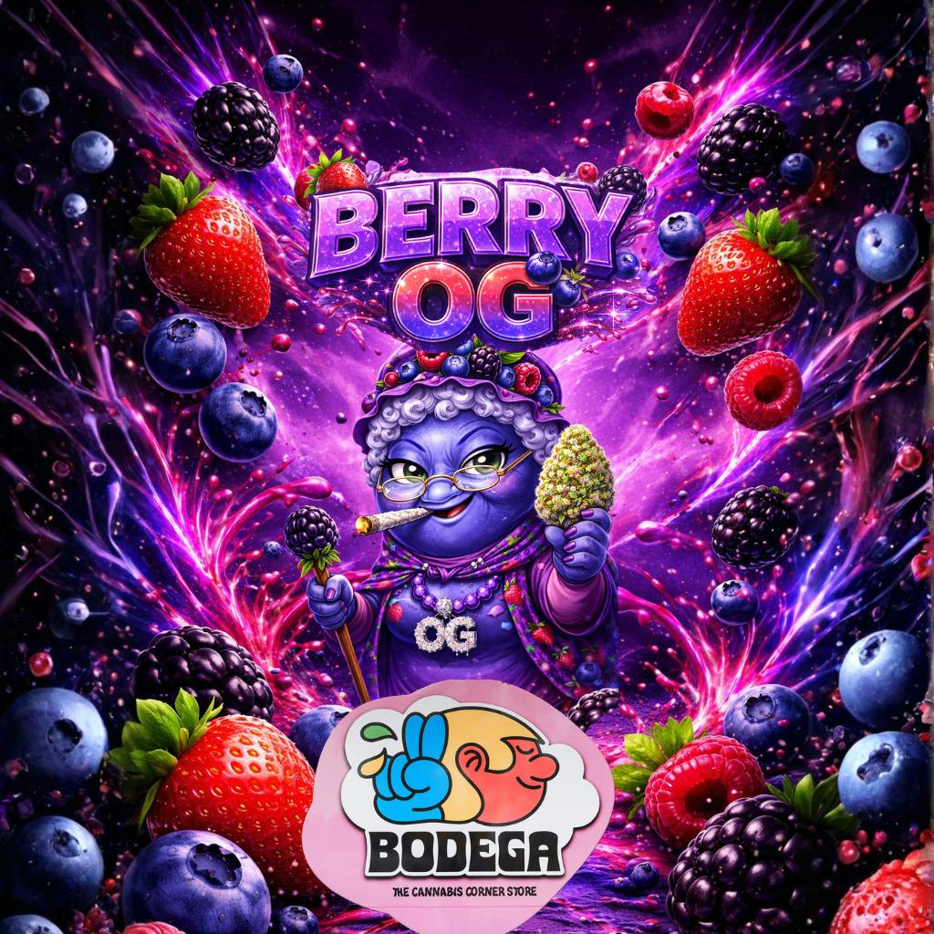 Bodega Berry OG