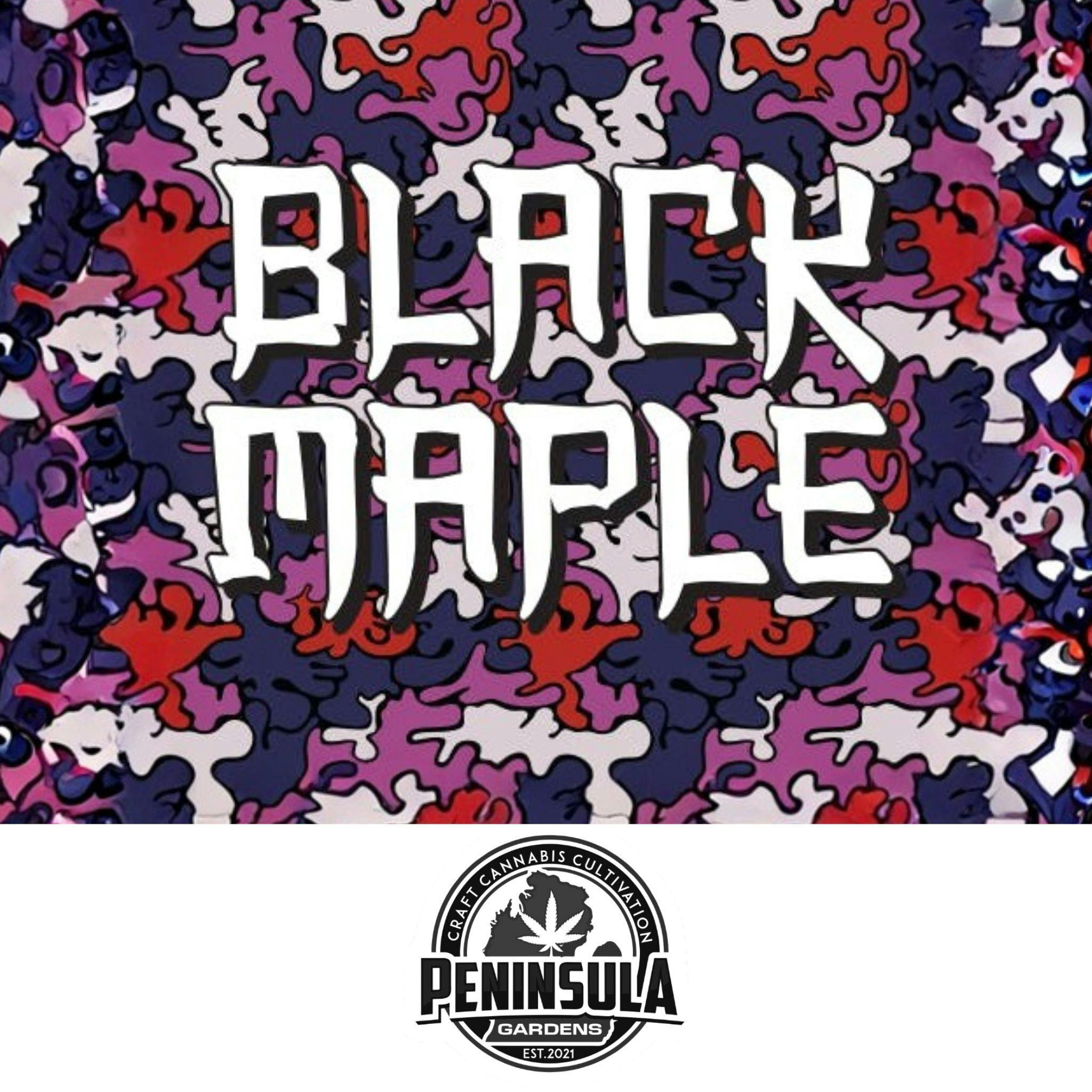Peninsula Gardens Black Maple