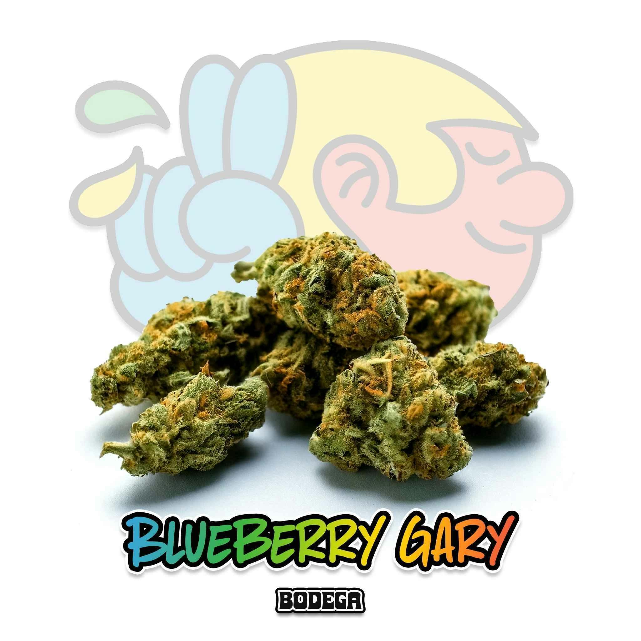 Bodega Blueberry Gary