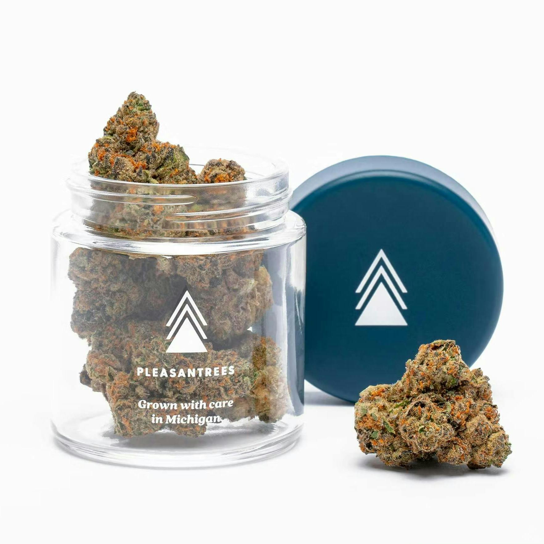 Grape Gas 2.0 | Pleasantrees - Platinum