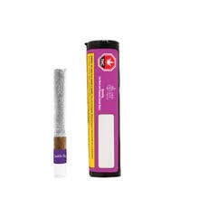 Gastropop Blunt