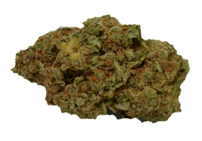 Hybrid Bud (Rotational)