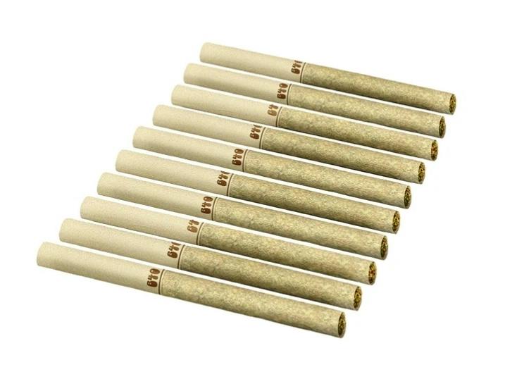 Backpackers Golden Tangie 10-Pack