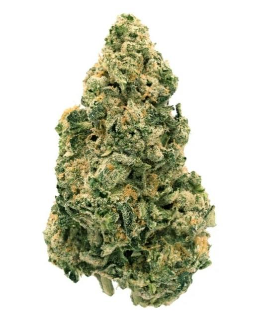 Galactic Jack