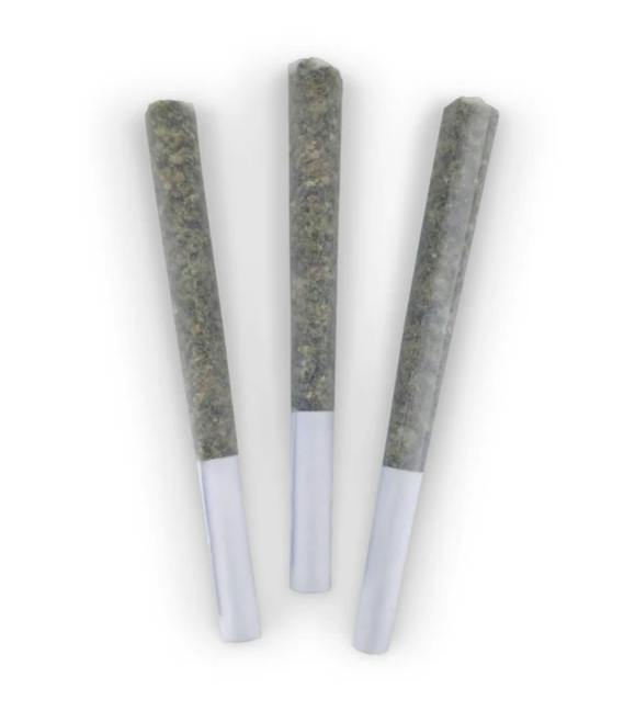 White Peach 3-Pack
