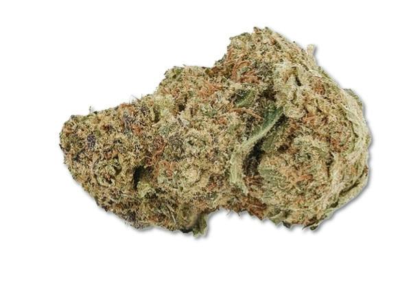 Sweet Notes Sundae Driver