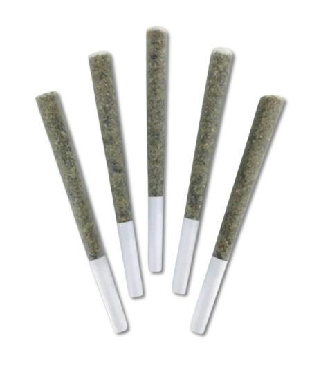 Night Arcade Pre-rolls