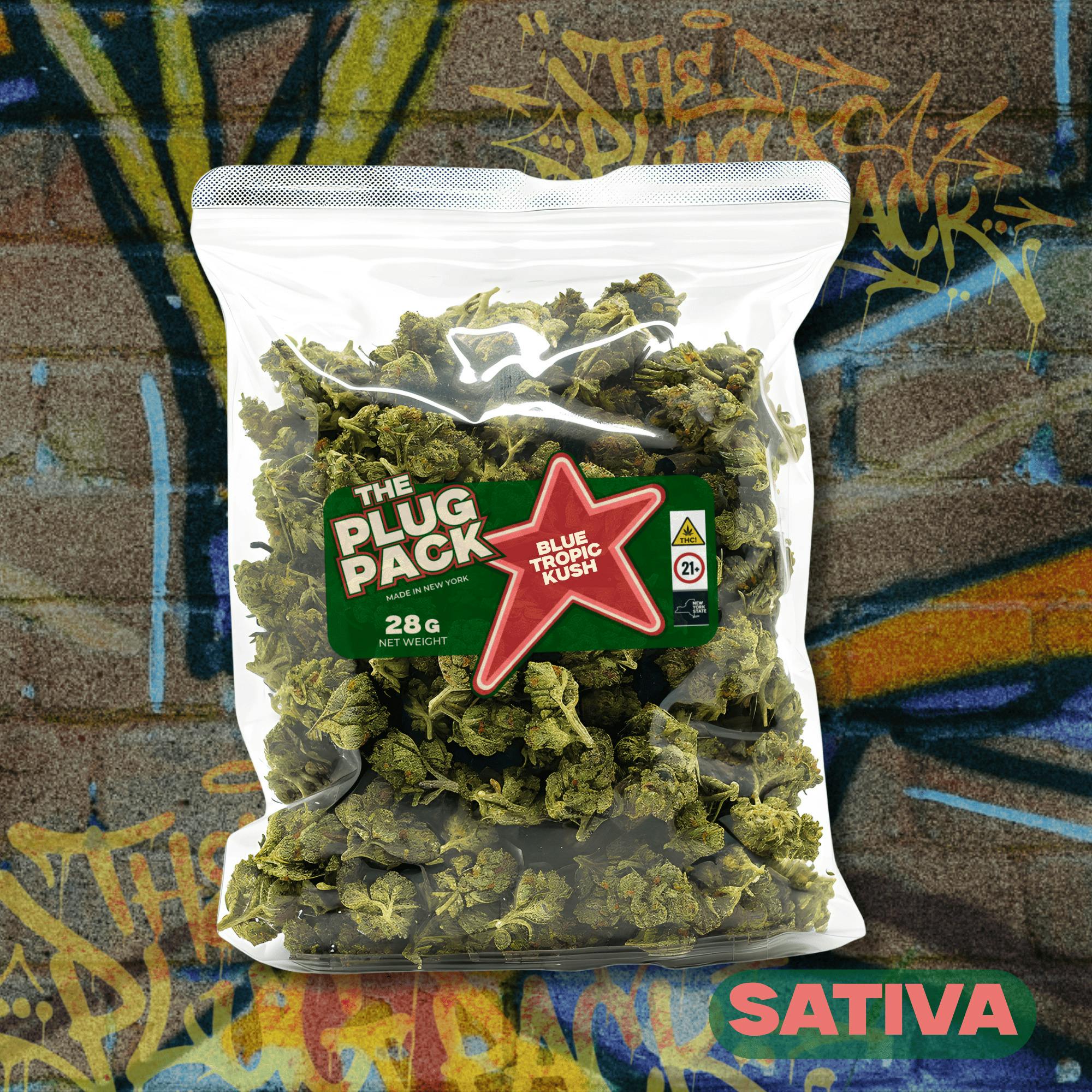 The Plug Pack | Blue Tropic Kush | Whole Flower