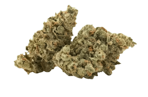 GF - COUNTER CULTURE - INDOOR FLOWER - PRESIDENTIAL RUNTZ - 3.5G