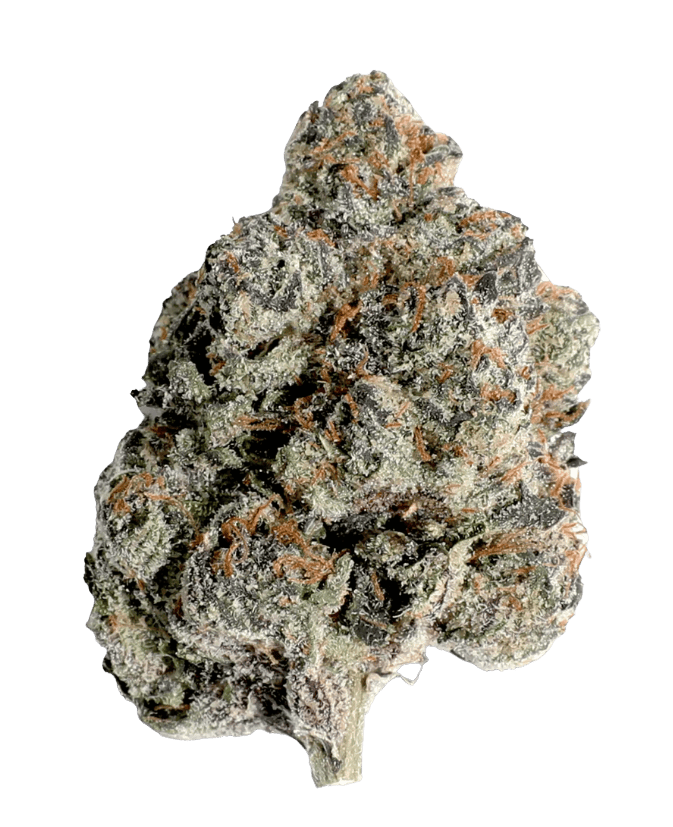 GF - COUNTER CULTURE - INDOOR FLOWER - BLUE NERDZ - 3.5G