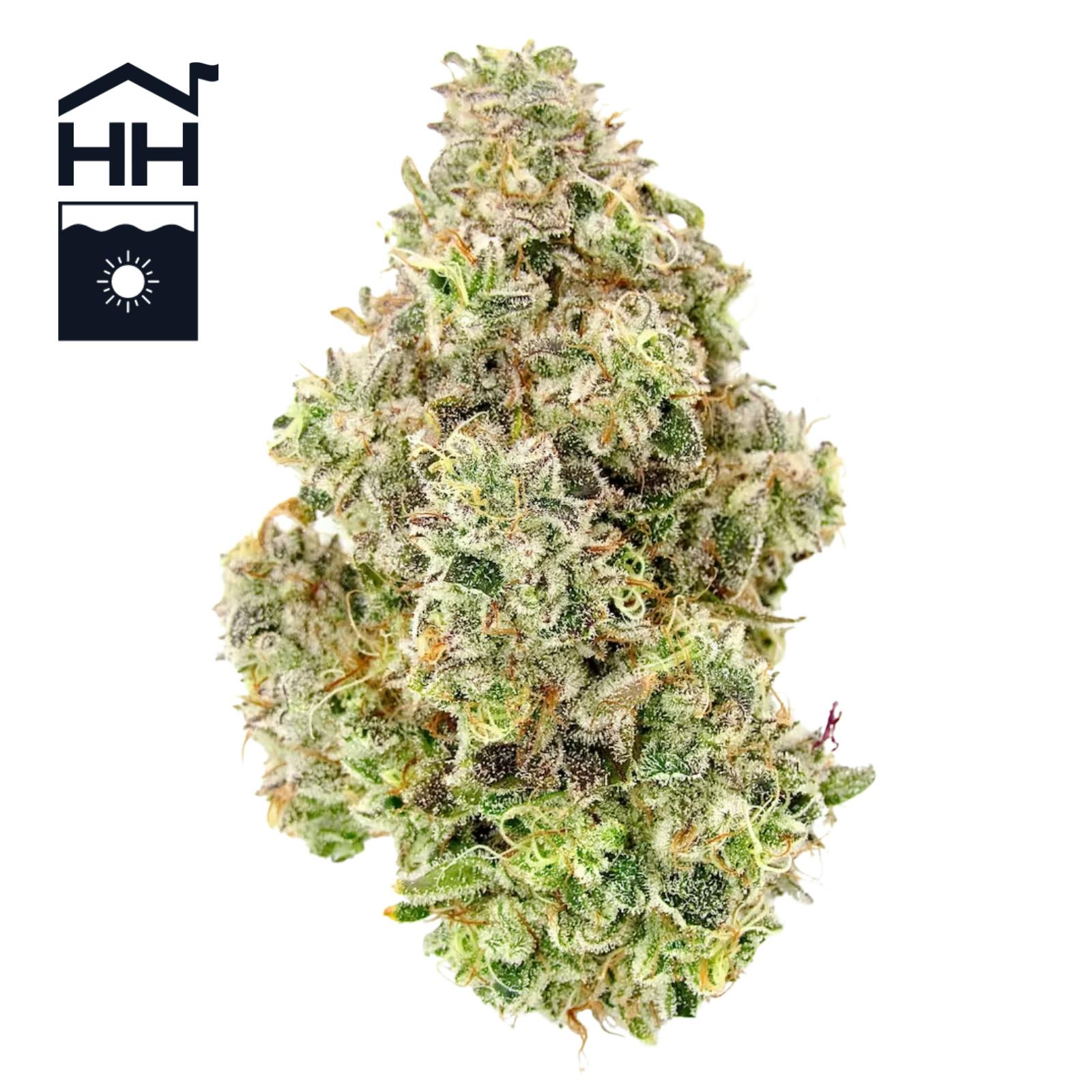 Harbor House | Albariño Flower 3.5g