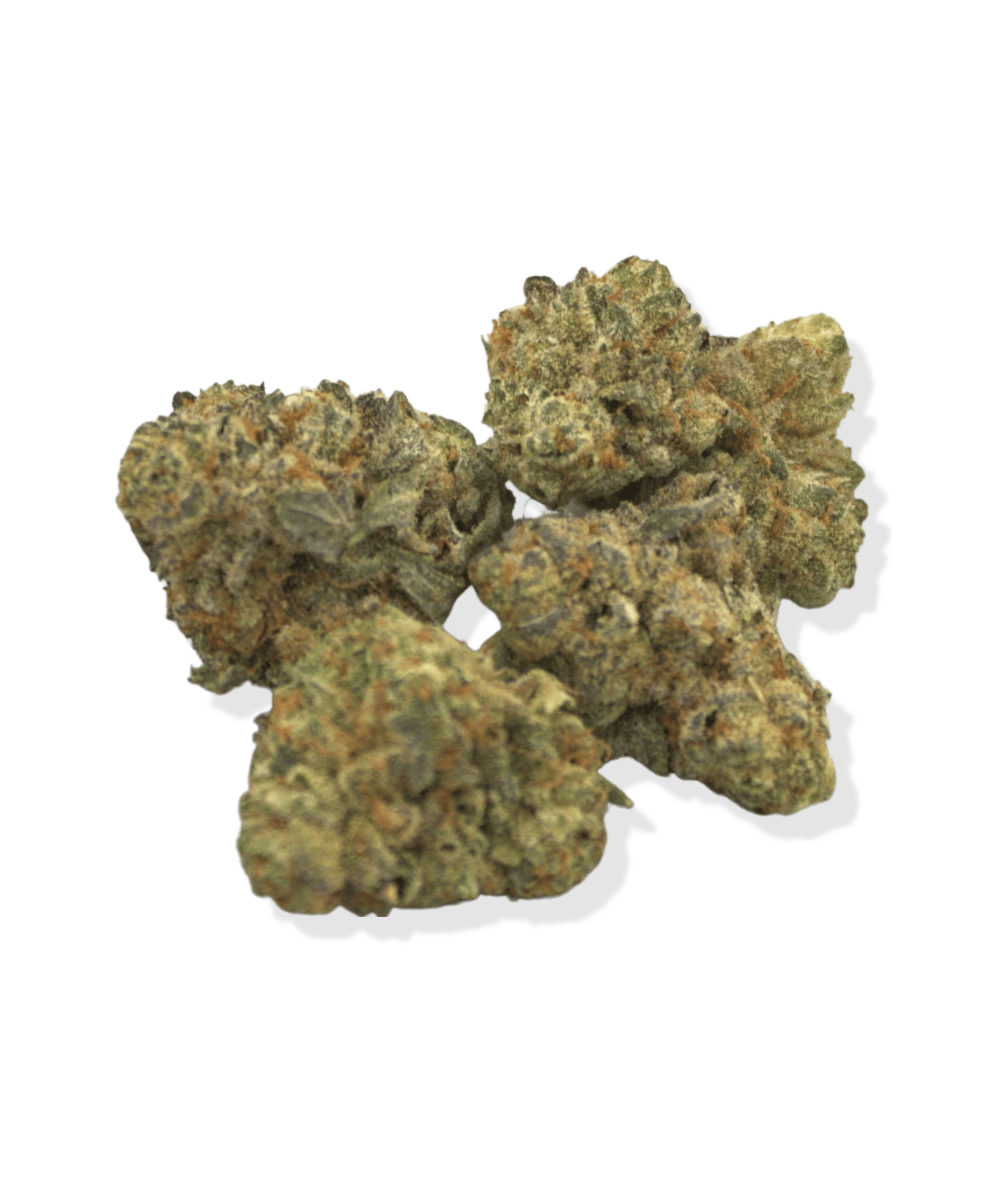 Glorious | Pancakes Flower 3.5g