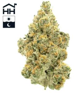 Harbor House | Super Boof Flower 3.5g