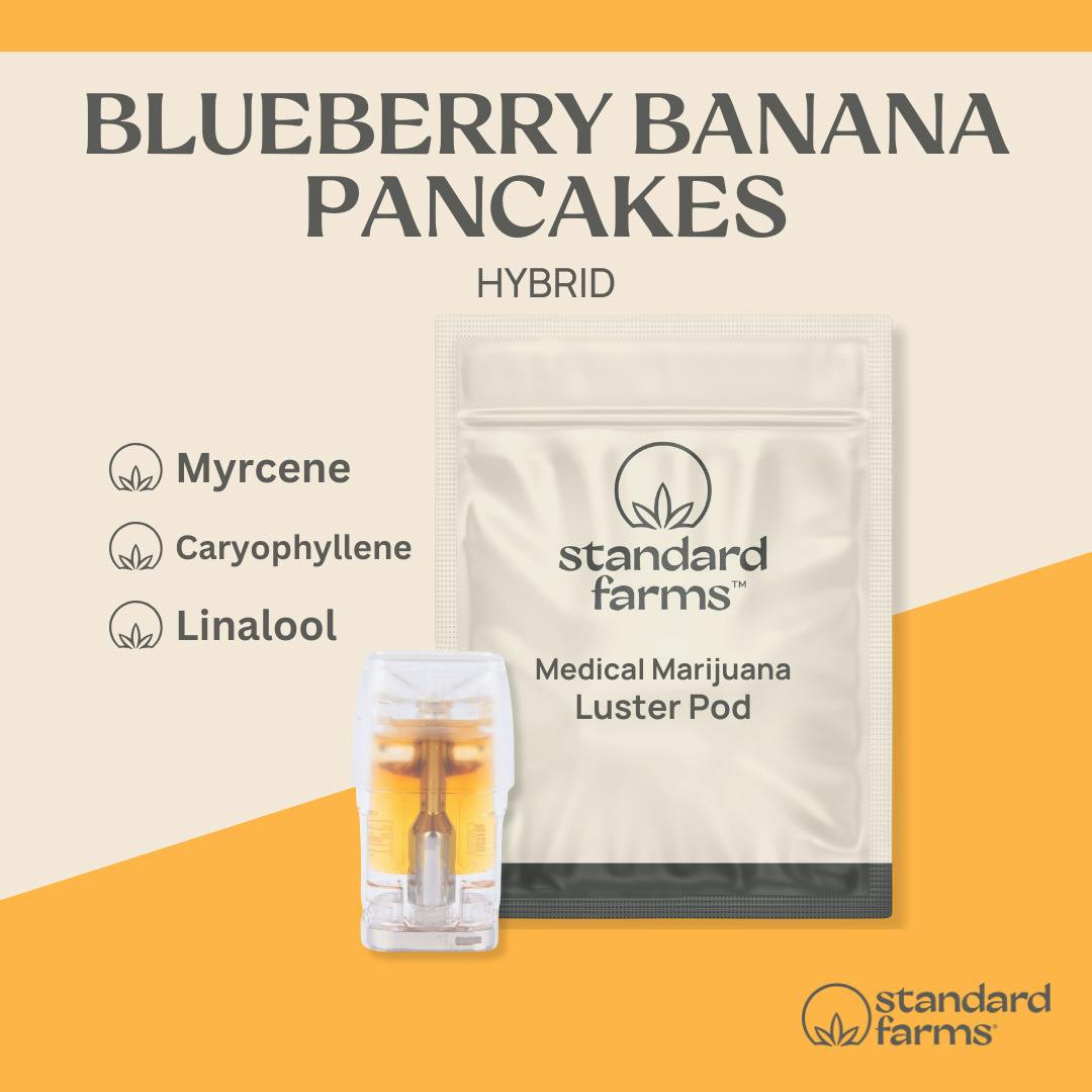 Blueberry Banana Pancakes | Luster Pod | [1g]