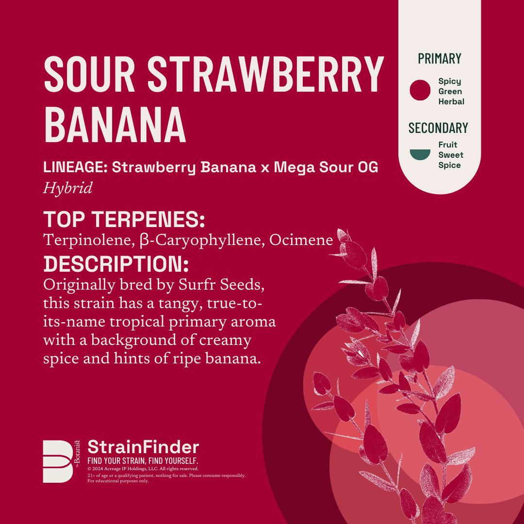Sour Strawberry Banana #62 | Hybrid | [2.83g]