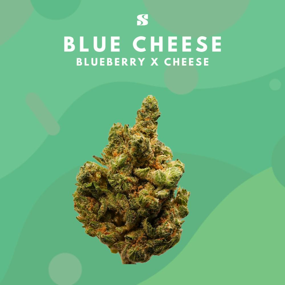 Blue Cheese | Indica | [28.3g]