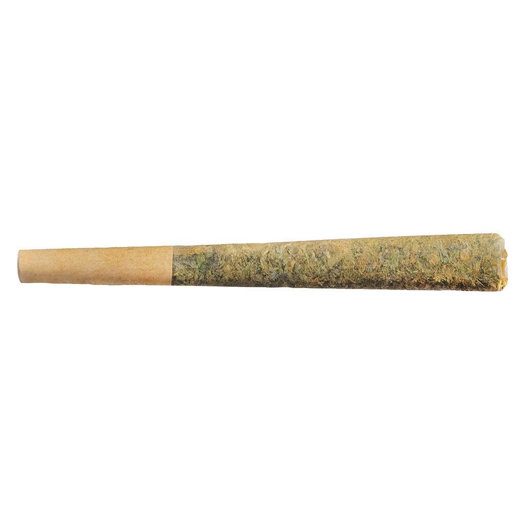 Fuego - Sunny Daze Sativa Pre-Roll 1x
