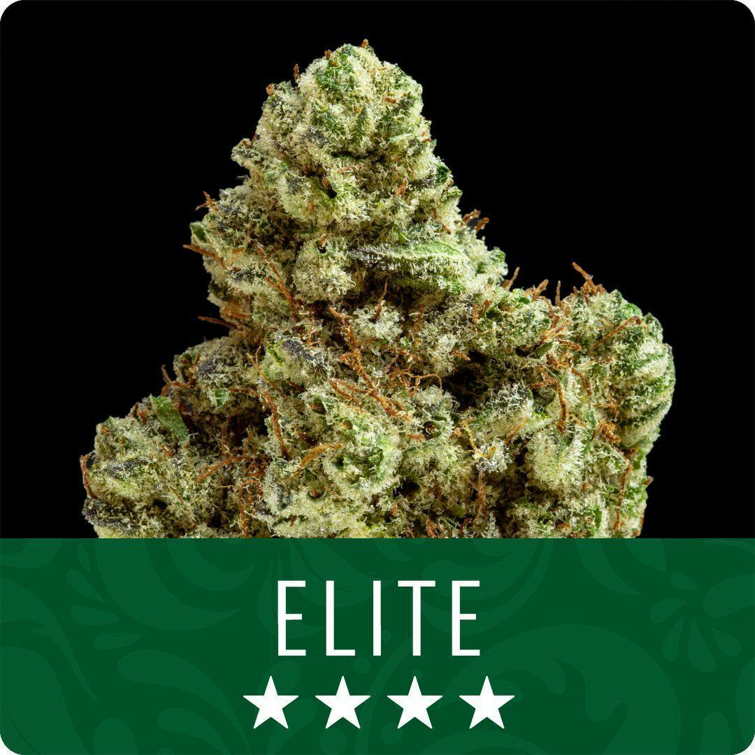 Super Boof