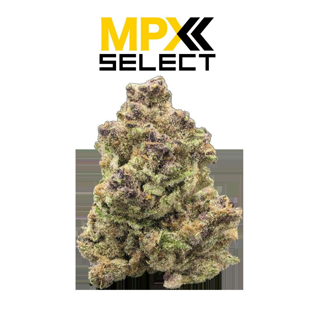 MPX Select™ Rainbow Belts 2.0 Flower