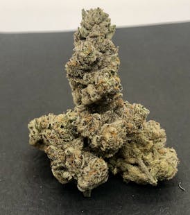 Carmelita Bulk Flower By Blossom (Taxes Included, OTD Pricing)