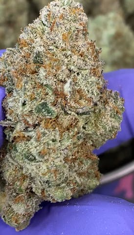 Monkey Berries Bulk Flower By Blossom (Taxes Included, OTD Pricing)