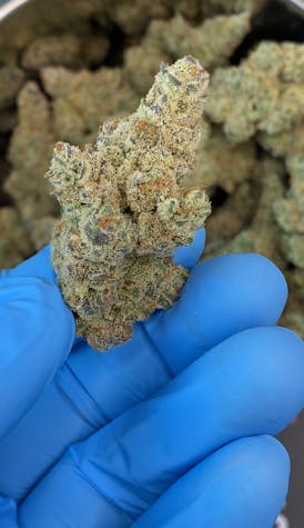 Platinum Kush Breath Bulk Flower By Blossom (Taxes Included, OTD Pricing)