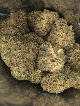 (NO BOGO) Purple Milk $30/Qtr By Blossom (Taxes Included, OTD Pricing)
