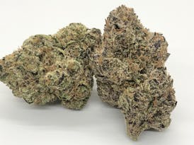 Blue Nerds Bulk Flower By Blossom (Taxes Included, OTD Pricing)