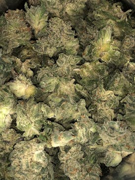 Lemon Lava $55oz By Blossom (Taxes Included, OTD Pricing)