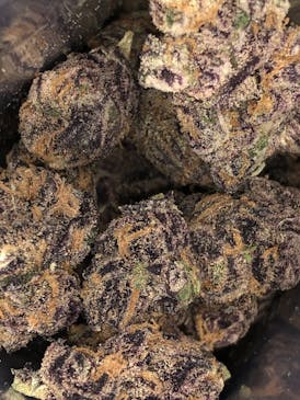 (NO BOGO) Black Cherry Punch $30/Qtr By Blossom (Taxes Included, OTD Pricing)