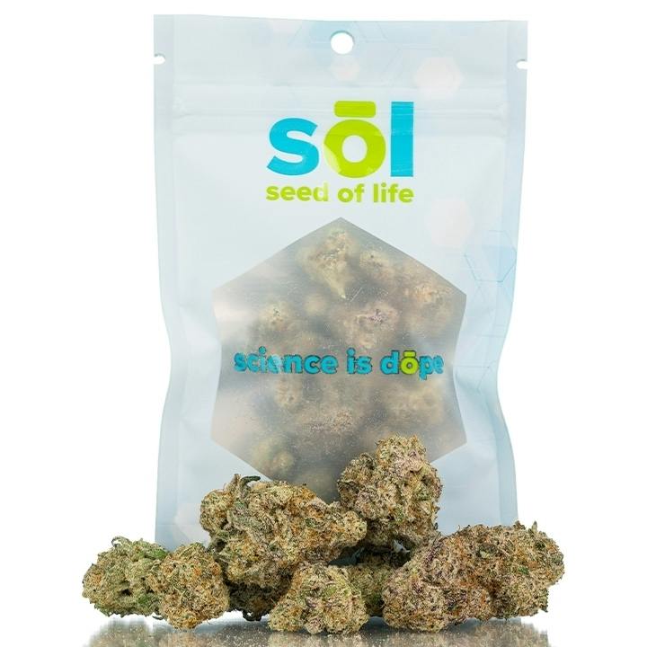 Mac 1 - Loose at Seed of Life Labs - Glendive