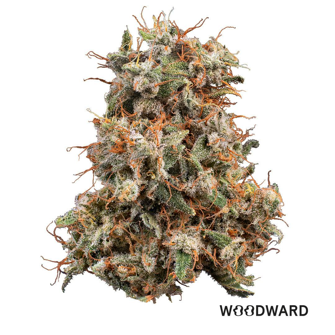 Woodward | Banana Mac