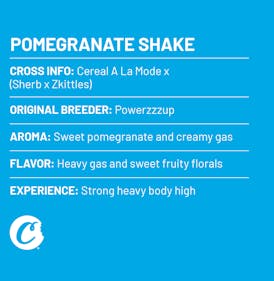 Pomegranate Shake