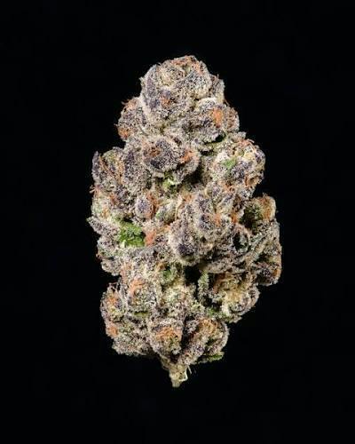 Cookies - Blackberry Caviar