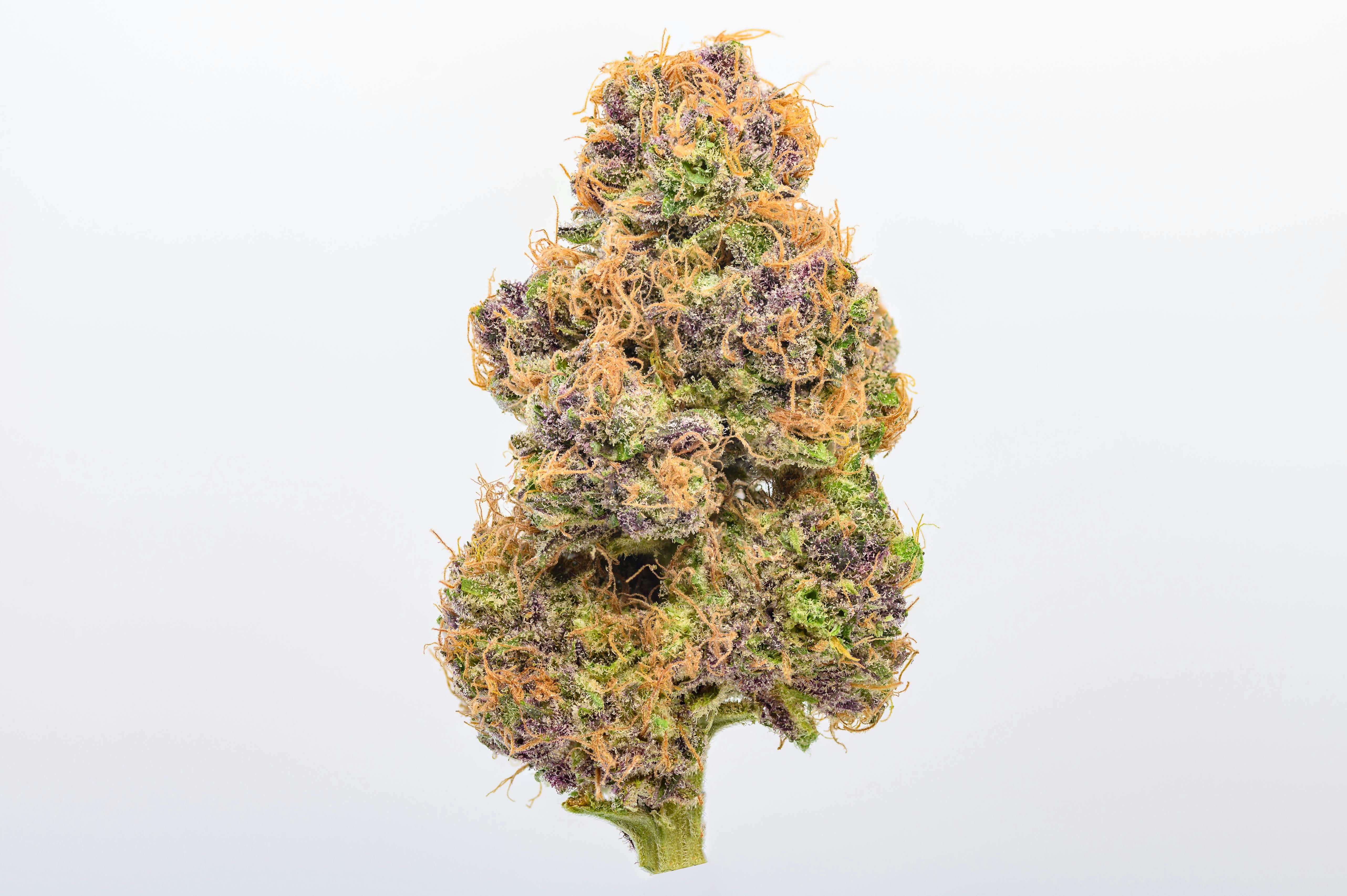 Fresh | Small Batch Reserve | Member Berry