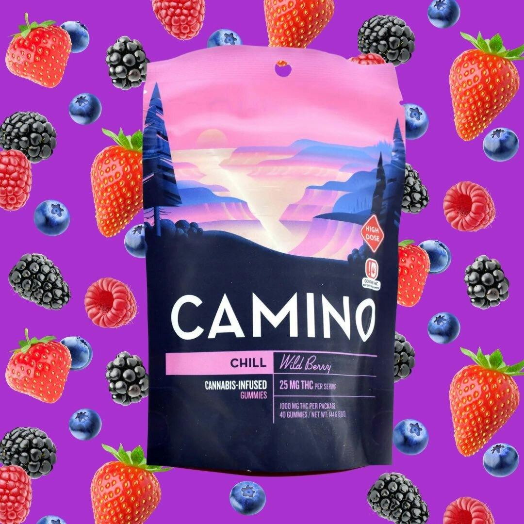Camino - High Dose Wild Berry - 1000mg