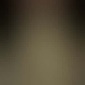 Rugged Roots | Monaco Octane