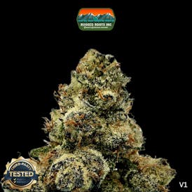 Rugged Roots | Mellowz