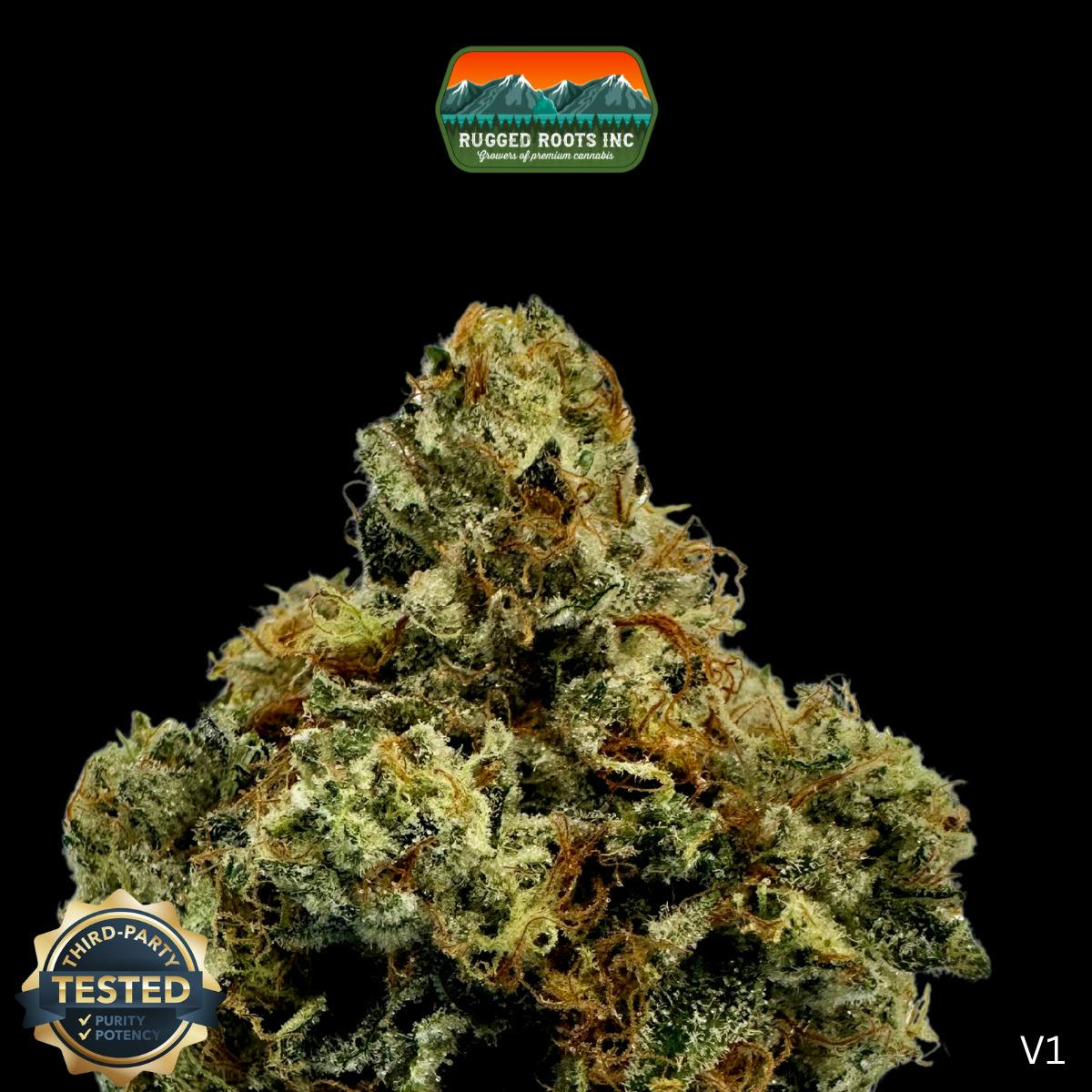 Rugged Roots | Georgia Pie Dime Bag